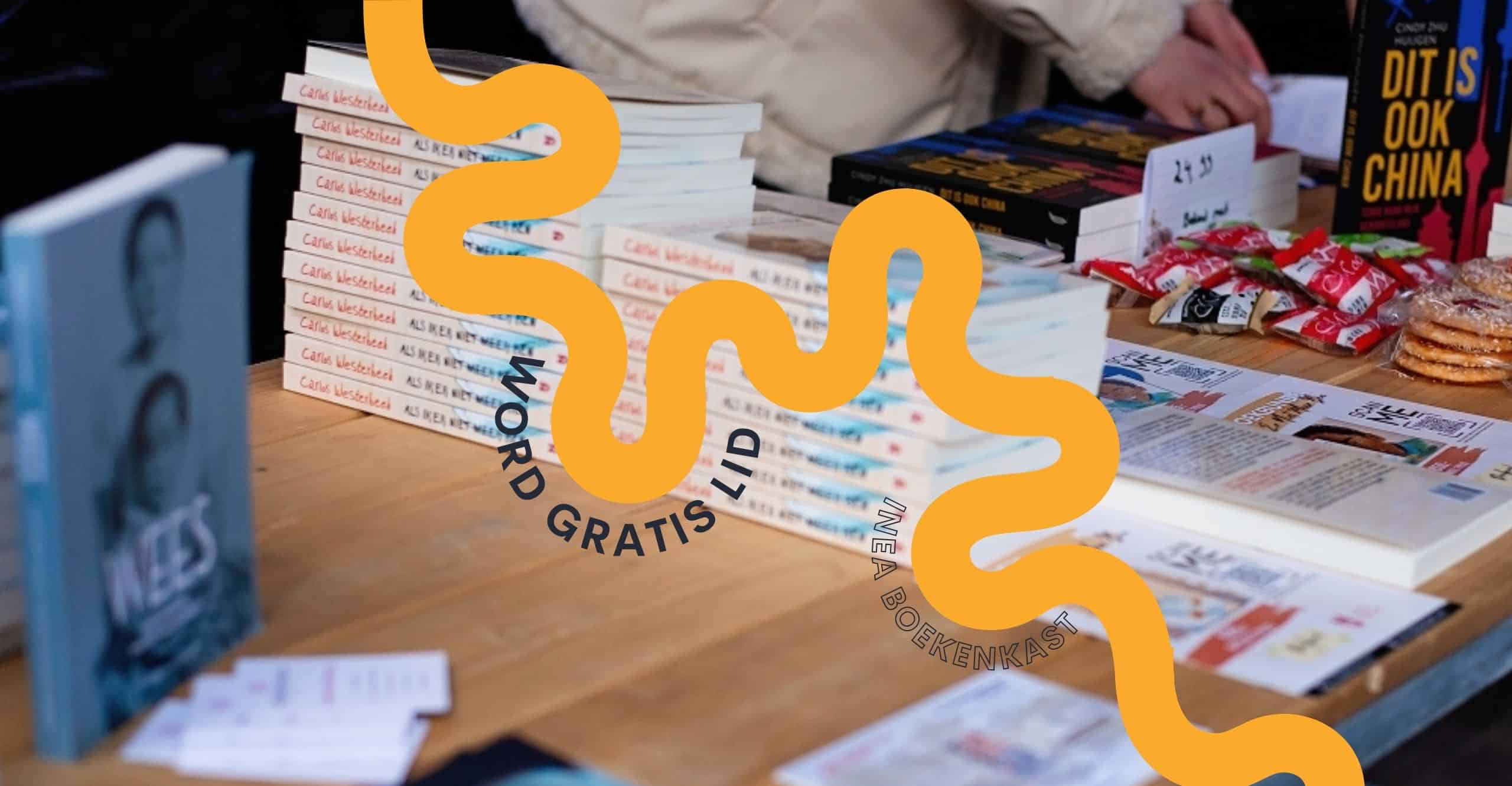 AAM - INEA boekenkast (2)